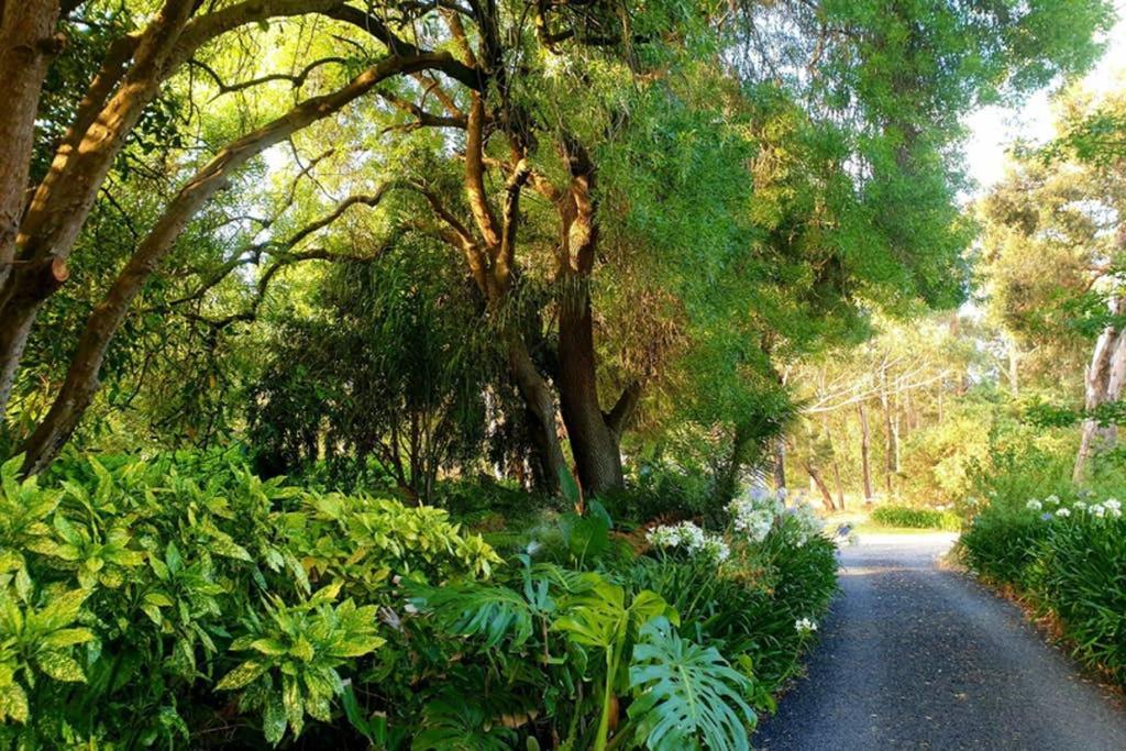 Bella Mia Tuscan Paradise Mount Gambier Εξωτερικό φωτογραφία